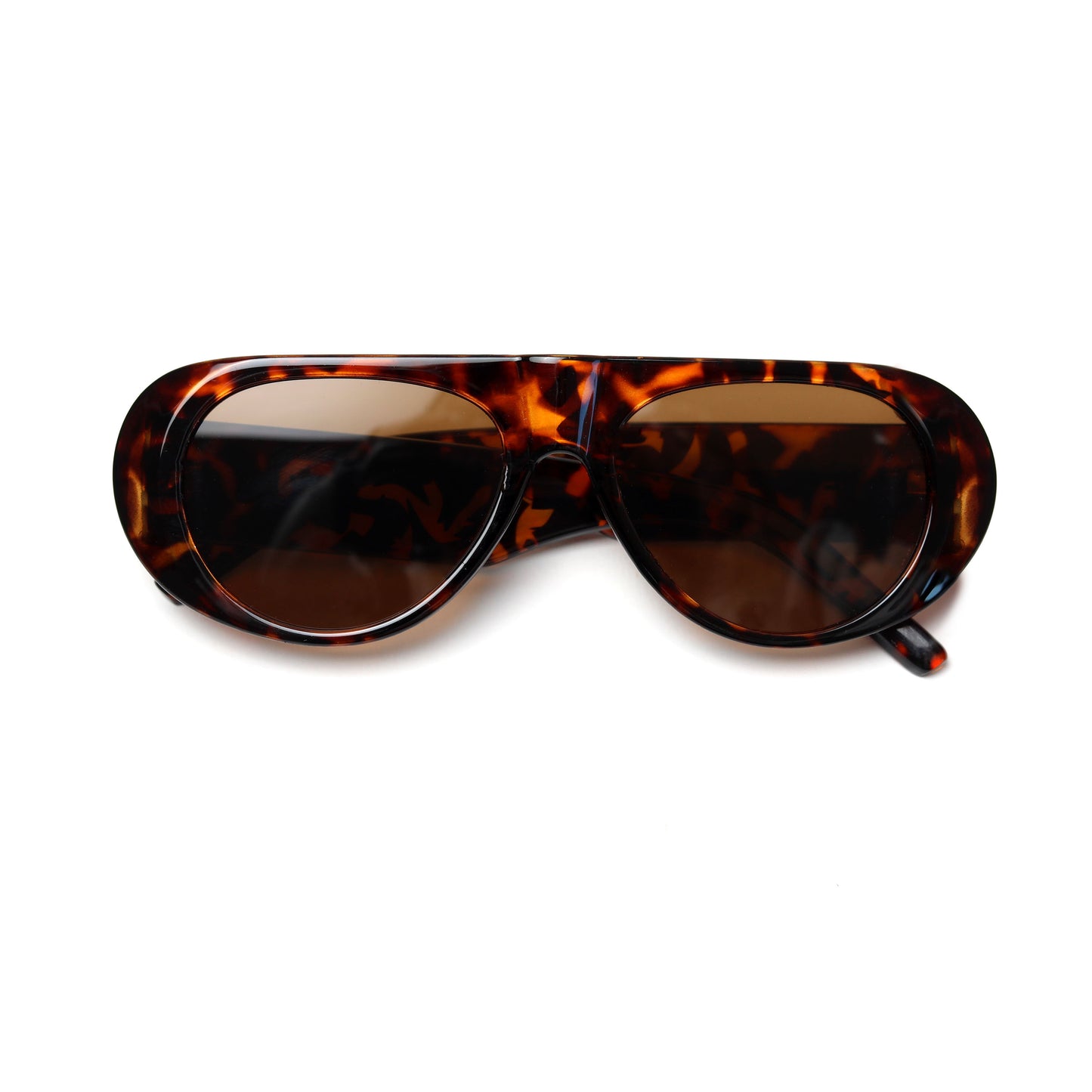 ST TROPEZ TORTOISE